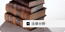 法律分野翻訳